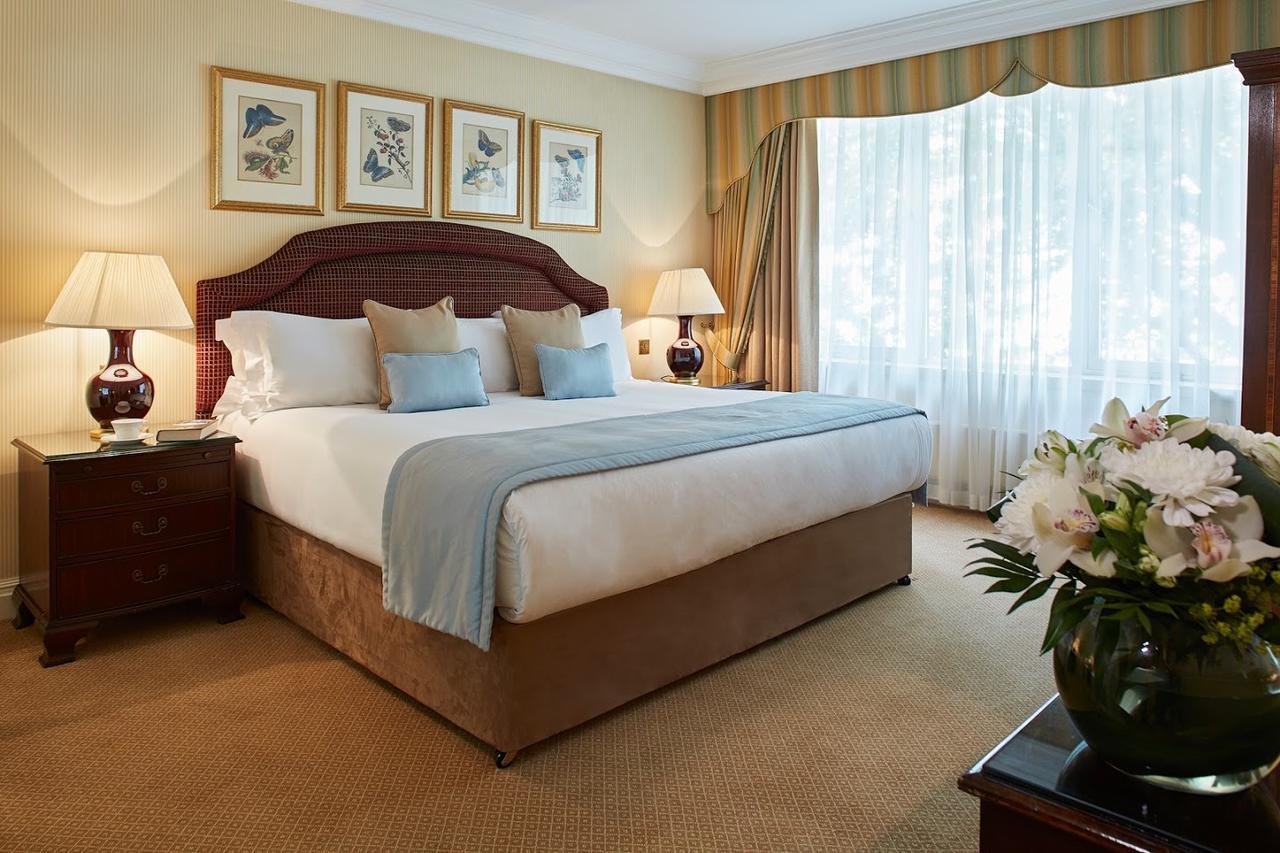 Superior One Bedroom Apartment,679256286:JPEG